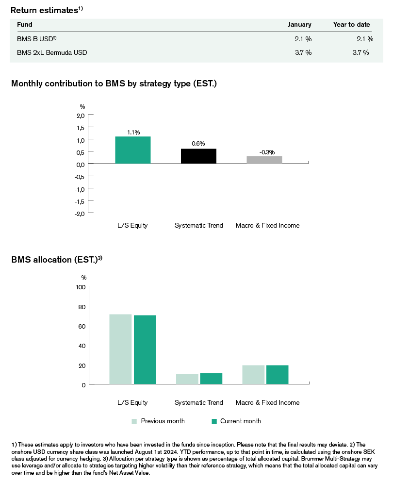 A graph that shows allocation and contribution for BMS during January