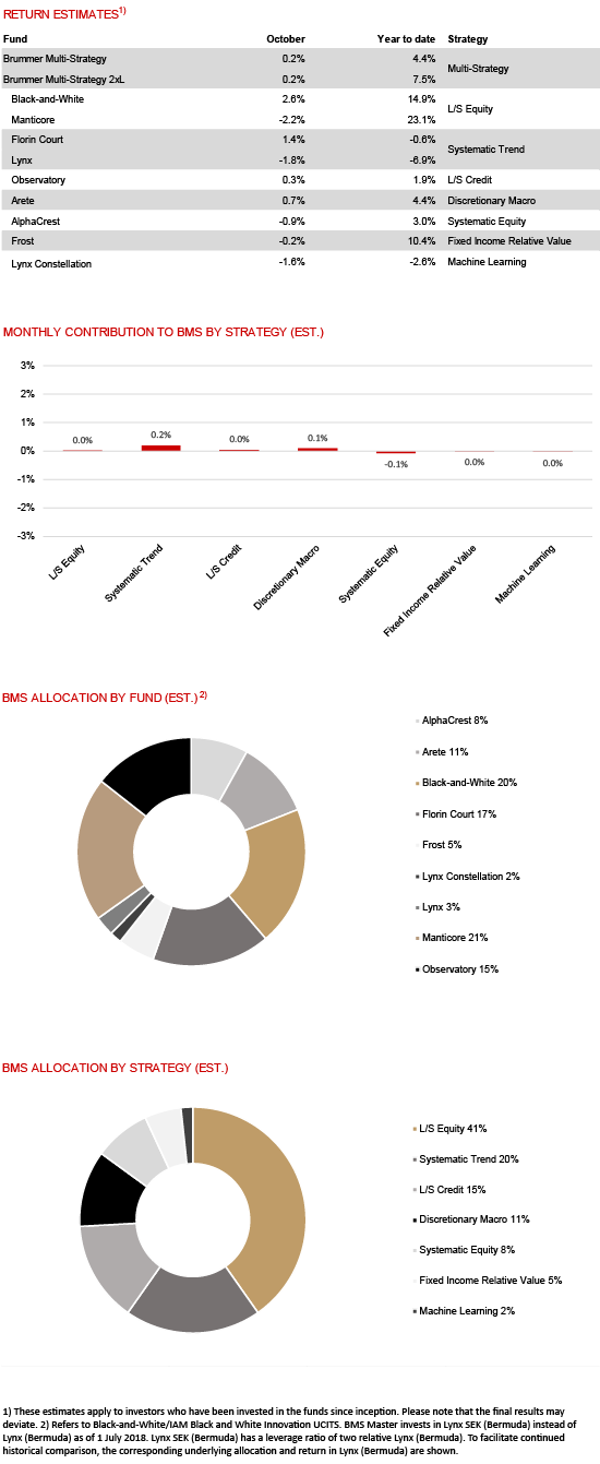 BMS bild oct eng.png