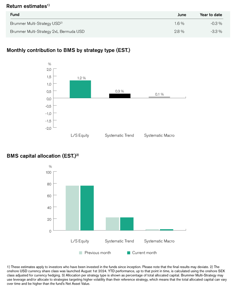 The image shows two bar charts presenting data by strategy type for BMS, including monthly contributions and capital allocation.